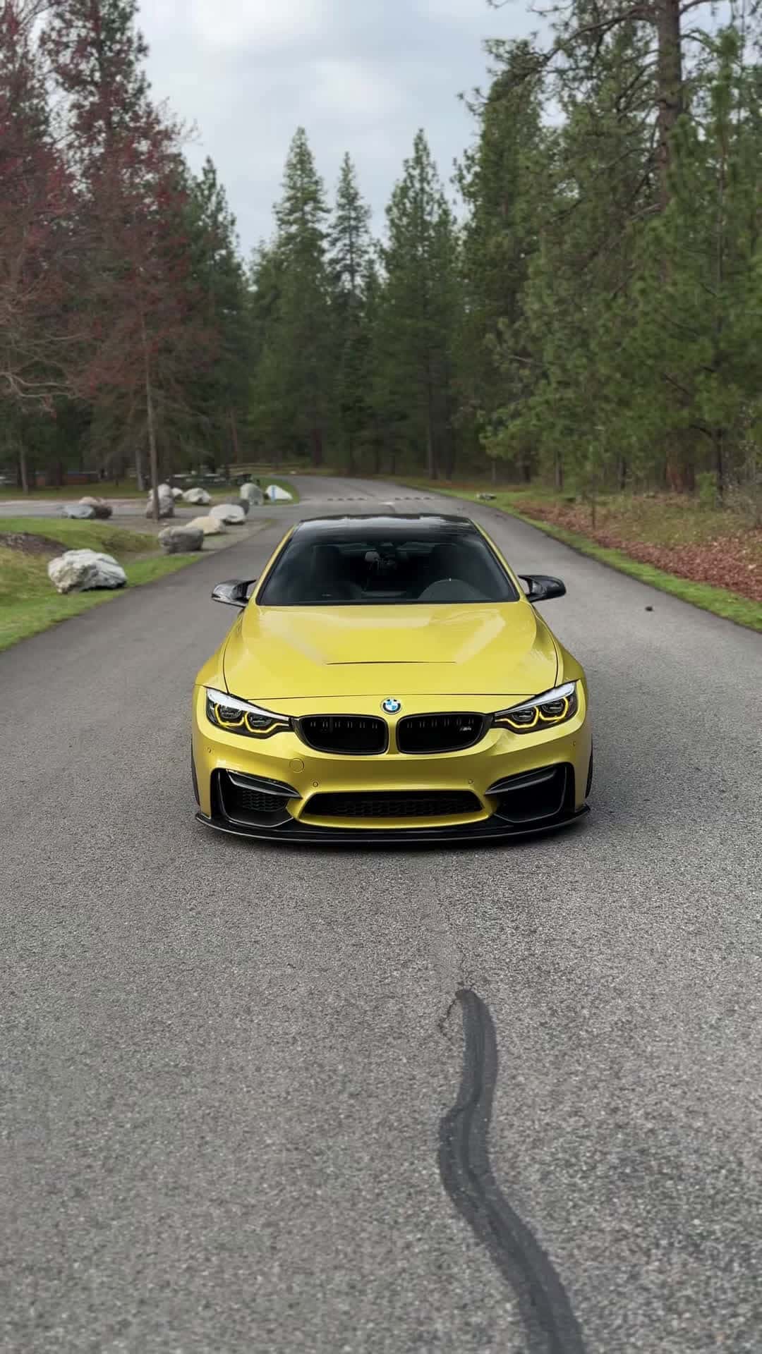 Cover for Yellow on yellow baby @Cen-Cal Motorsport