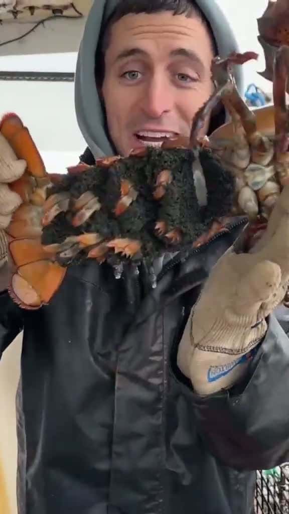 Cover for Have you ever seen a huge egger? 🦞🤷🏽‍♂️  We’re on a lobster boat with @Jacob Knowles to learn all about them! 🤯 #fyp #foryou #lobster #crayfish #boat #fishing #foodporn