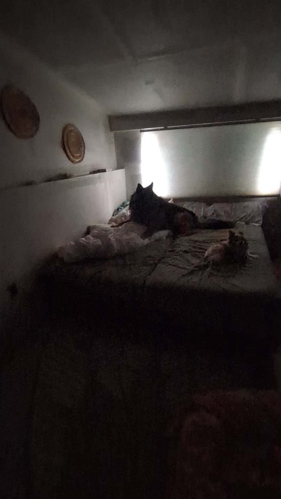 Cover for oh how they love waking us up