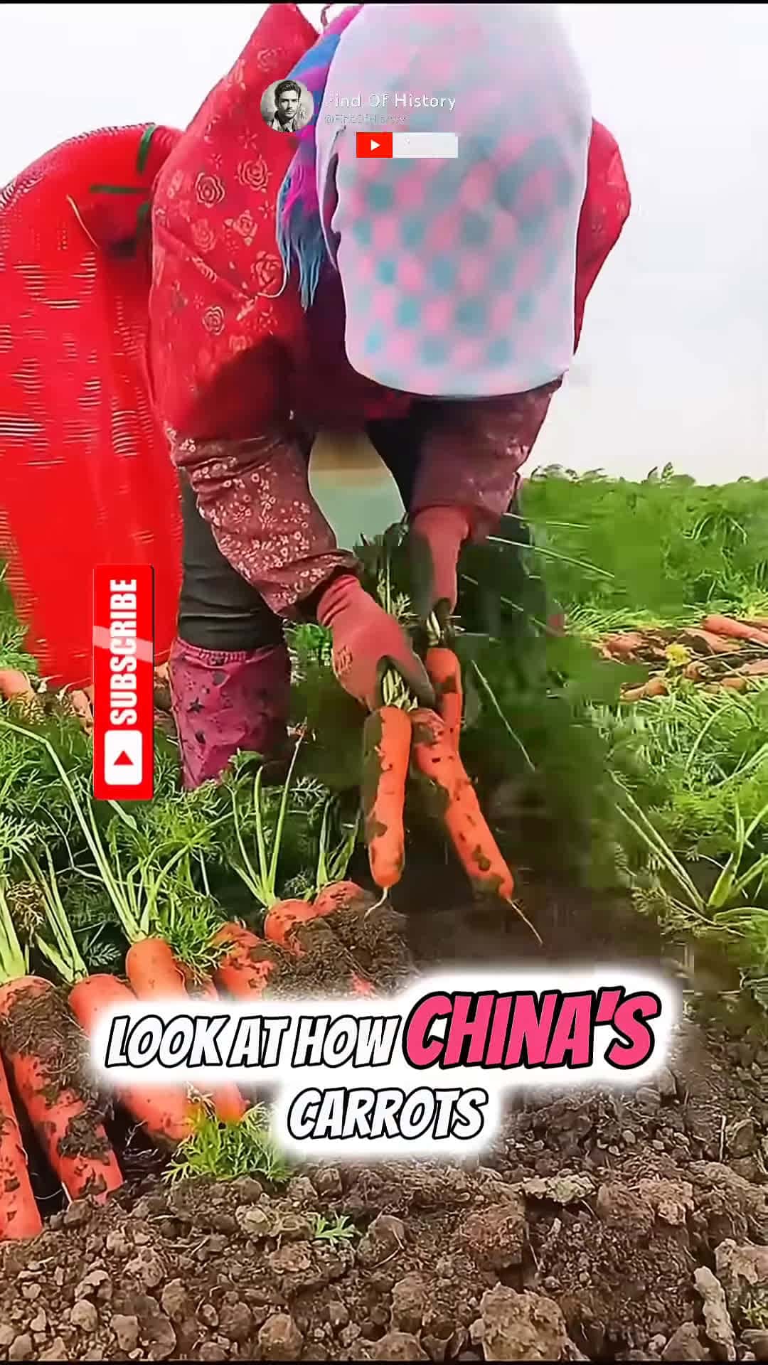 Cover for Unique American Farming Technique Part 001 shorts short unique