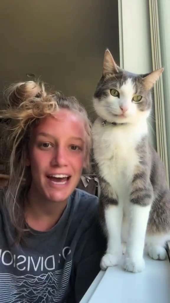 Cover for I live in fear. she owns the house cats fyp catlover catsoftiktok 23319 #trending