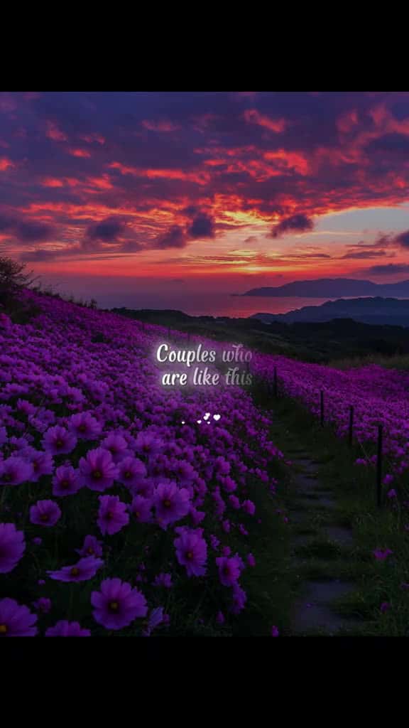 Cover for lovequotes lovequote quoteslove 20557 #trendingscoopz