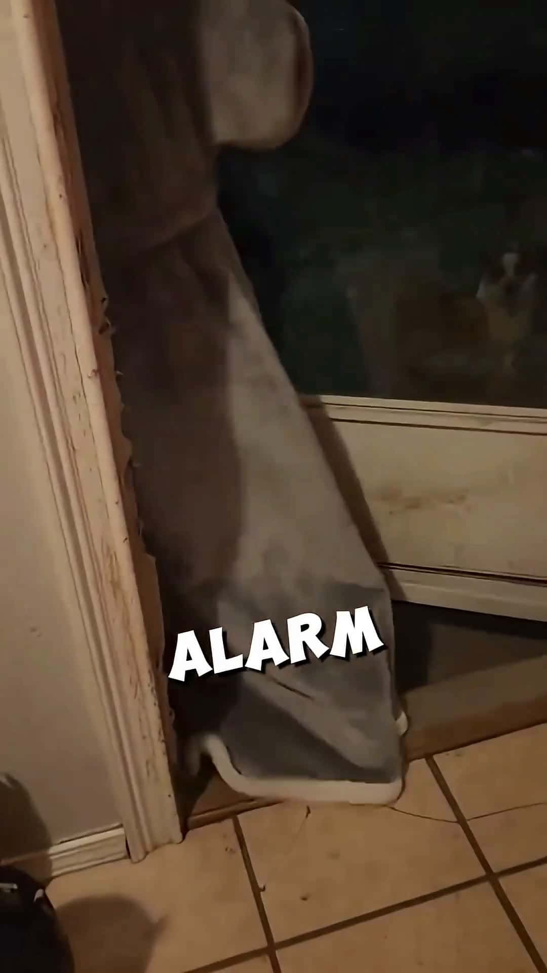 Cover for The storm brought in an unexpected guest ❤️ #shorts