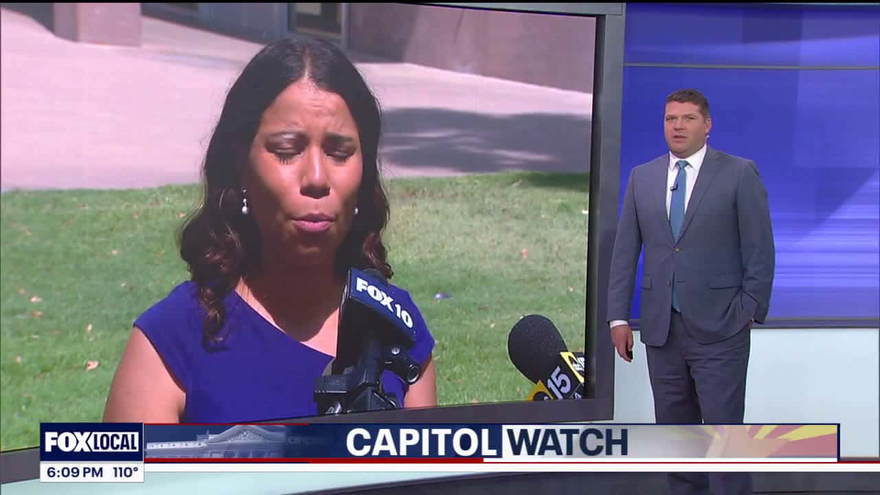 Cover for AZ Senator under fire from Senate GOP for ICE warning