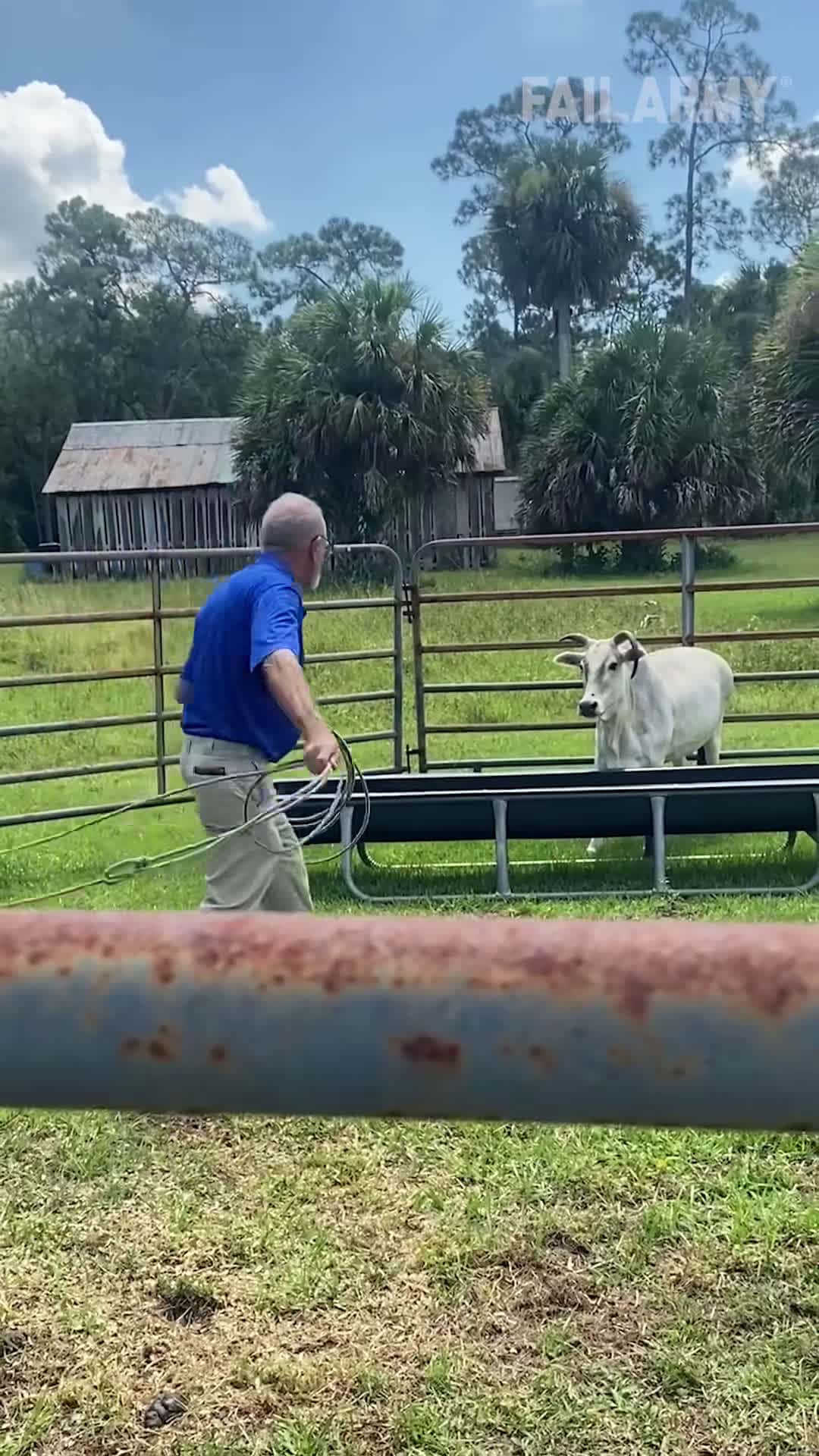 Cover for “We have Ted Lasso at home…”🐂💥#FailArmy @lindsaybaum528 ..#bullhorns #fail #funny #funnyfail #fail #funny #playground #funnyvideos #funnymemes #funnyfails #funnyprank #prank