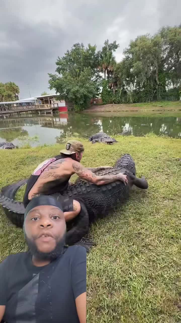 Cover for Walking through an underwater tunnel surrounded by alligators! 🐊 #MiamiZoo #Wildlife