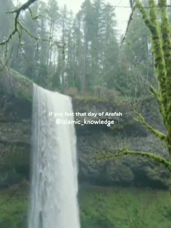 Cover for Day of Arafha Reward bestislamicvideo trending 2millionviews dayofarafah foryoupage viral 69056 #trend