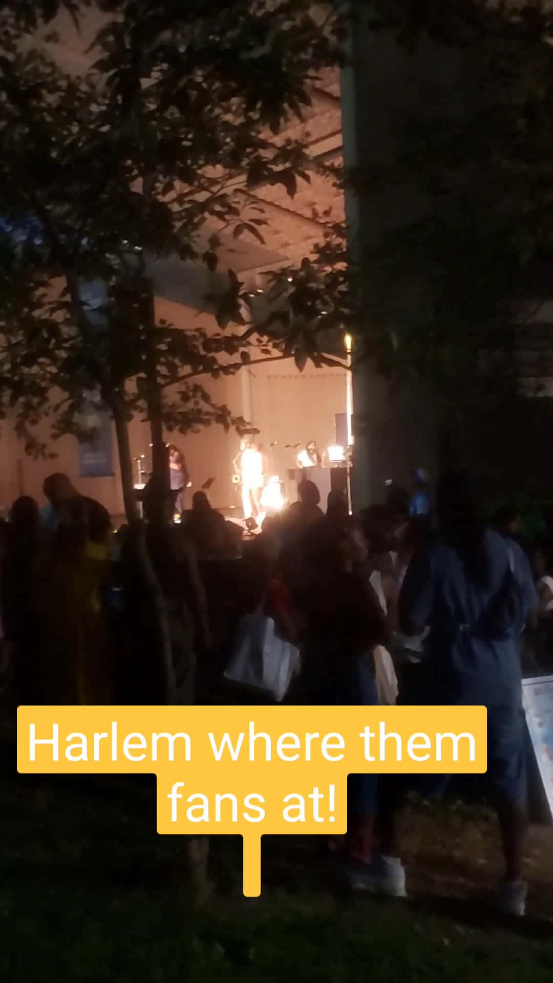 Cover for #Whetethemfansatnothing like Harlem