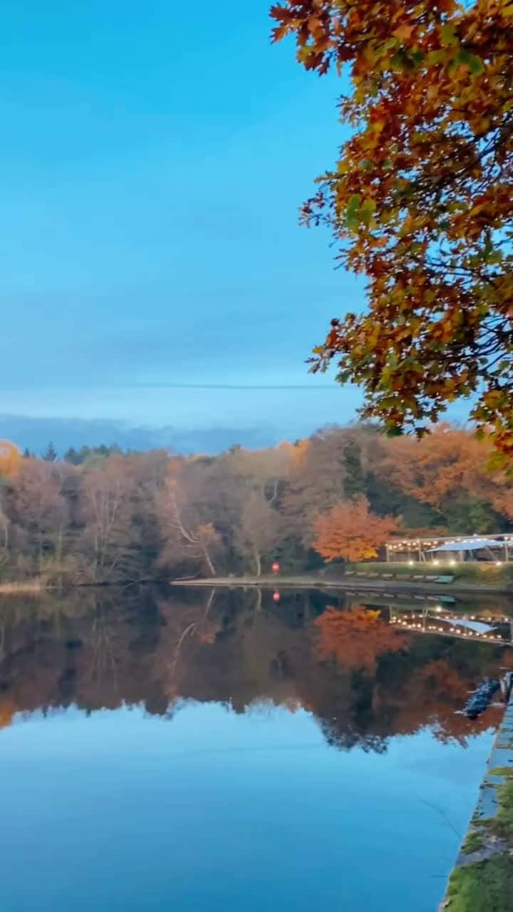 Cover for The colours this time of year in England are beautiful! 🍁 #fyp #wishlist #tiktoktravel