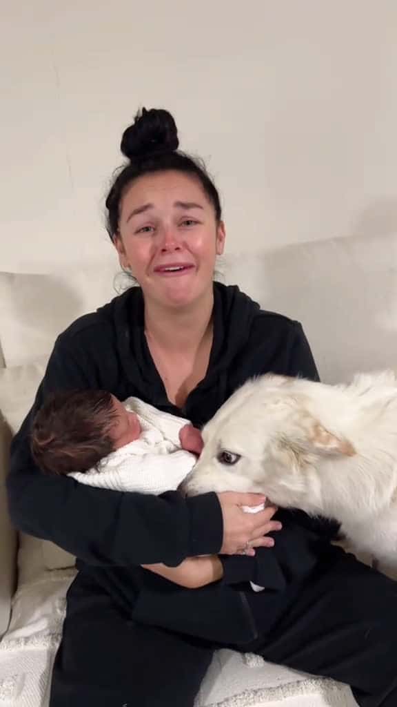 Cover for Dog love baby dog baby Love pet lovestory bestfriend cute digsoftiktok tiktok foryou usa 62286 #followMe