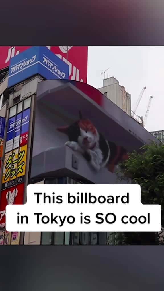 Cover for It looks so real🤭 Credit: ViralPress #tokyo #epic #learnontikok #cool #technology