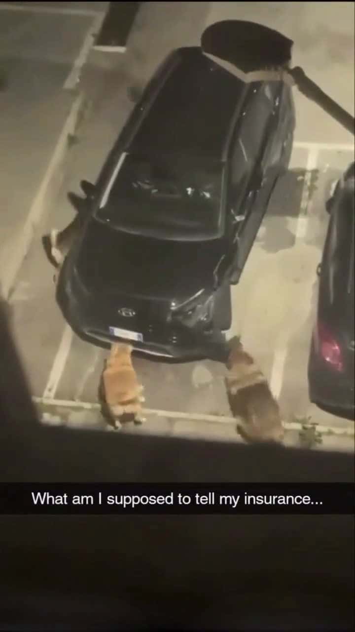 Cover for my car breaks down once a week