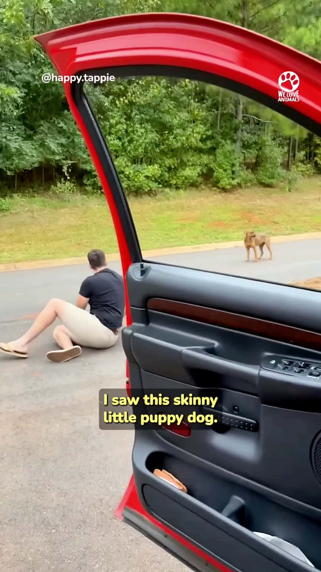 Cover for Homeless dog realizes this is a good guy