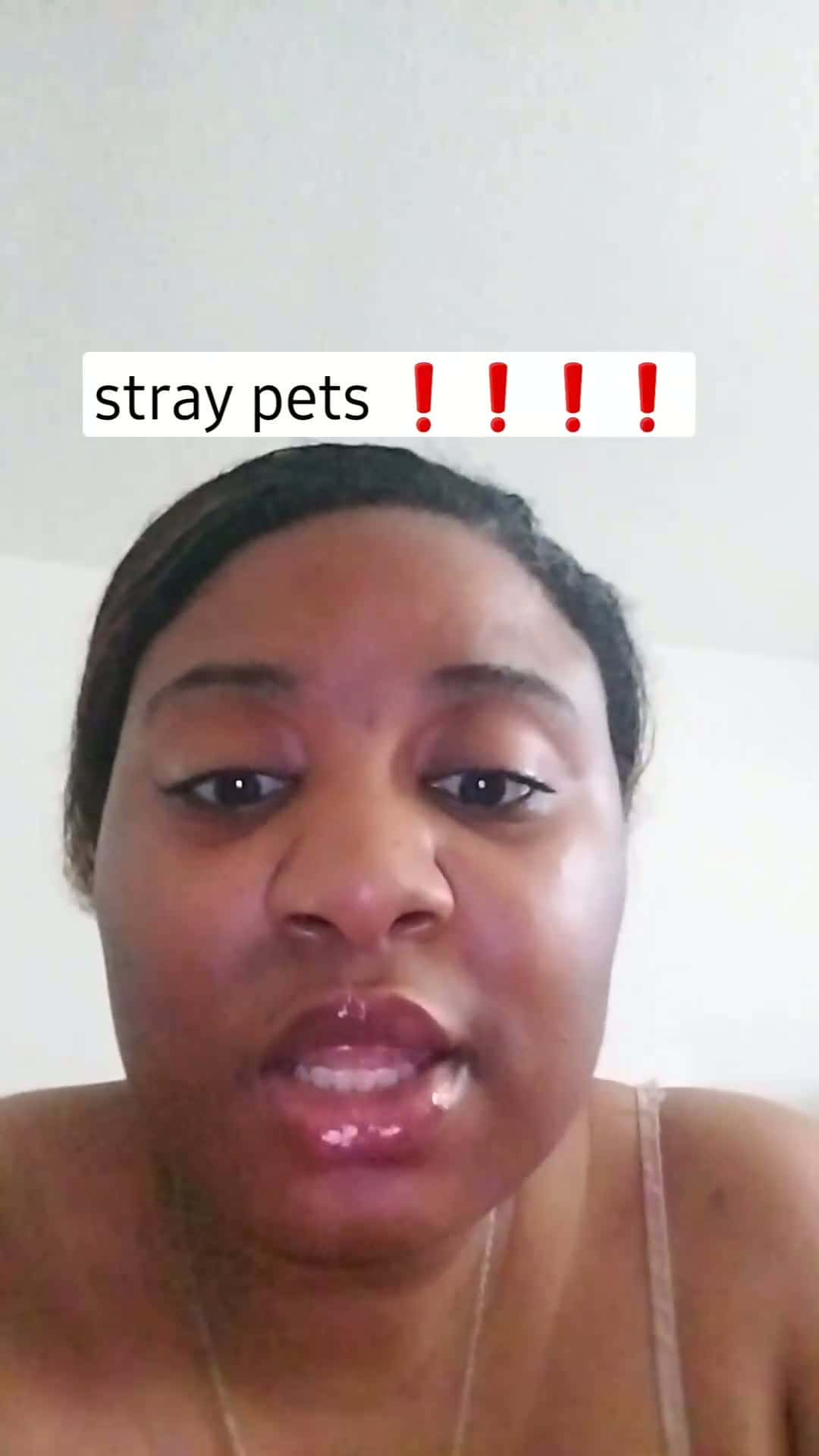 Cover for stray cats and pets. pets found in random places. animal shelters being full and animal control not helping. #fyp  #animals  #catsofinstagram  #scoopz  #relatable  #reels  #trending 