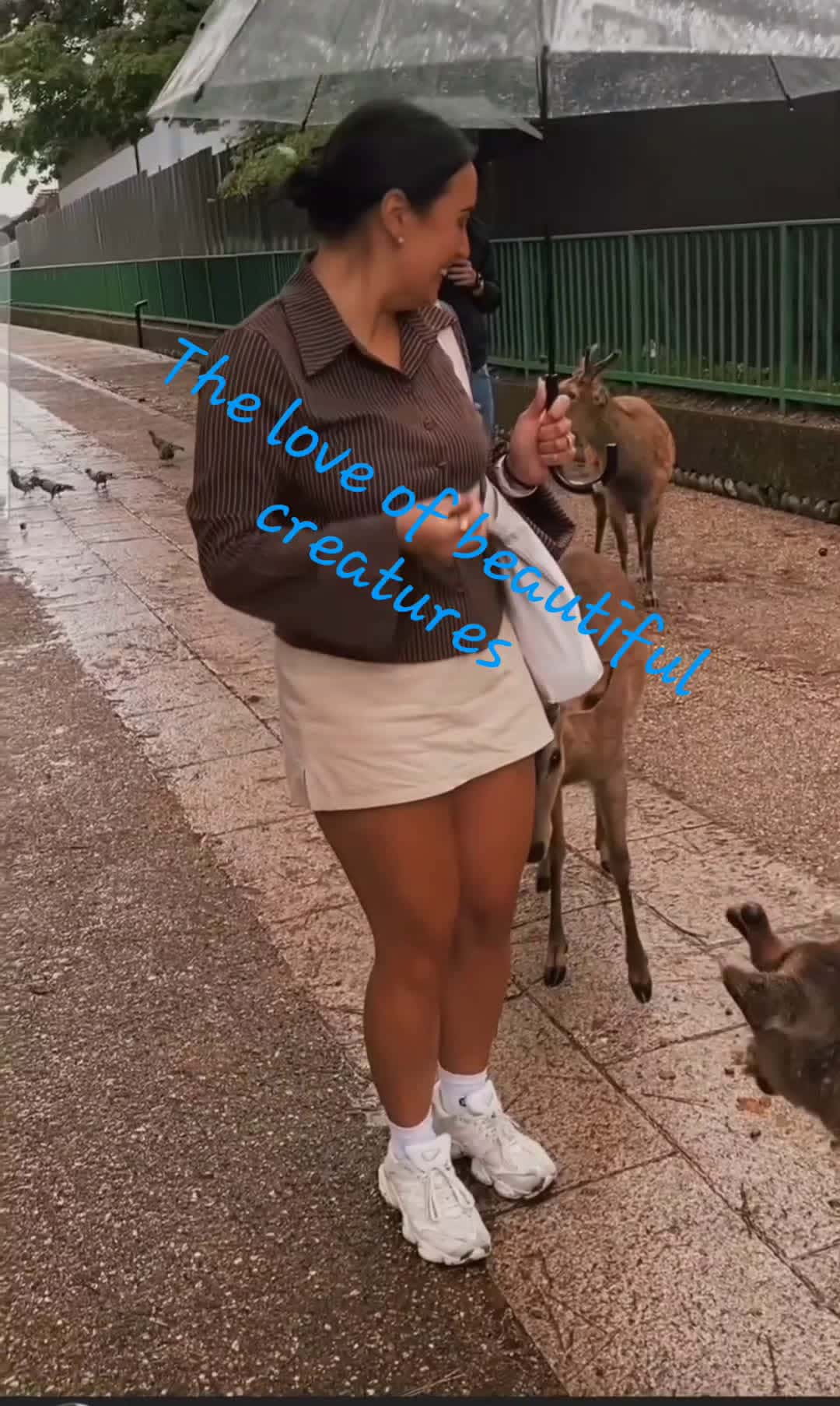 Cover for #animals #love #beautifulview 🥰💖✨