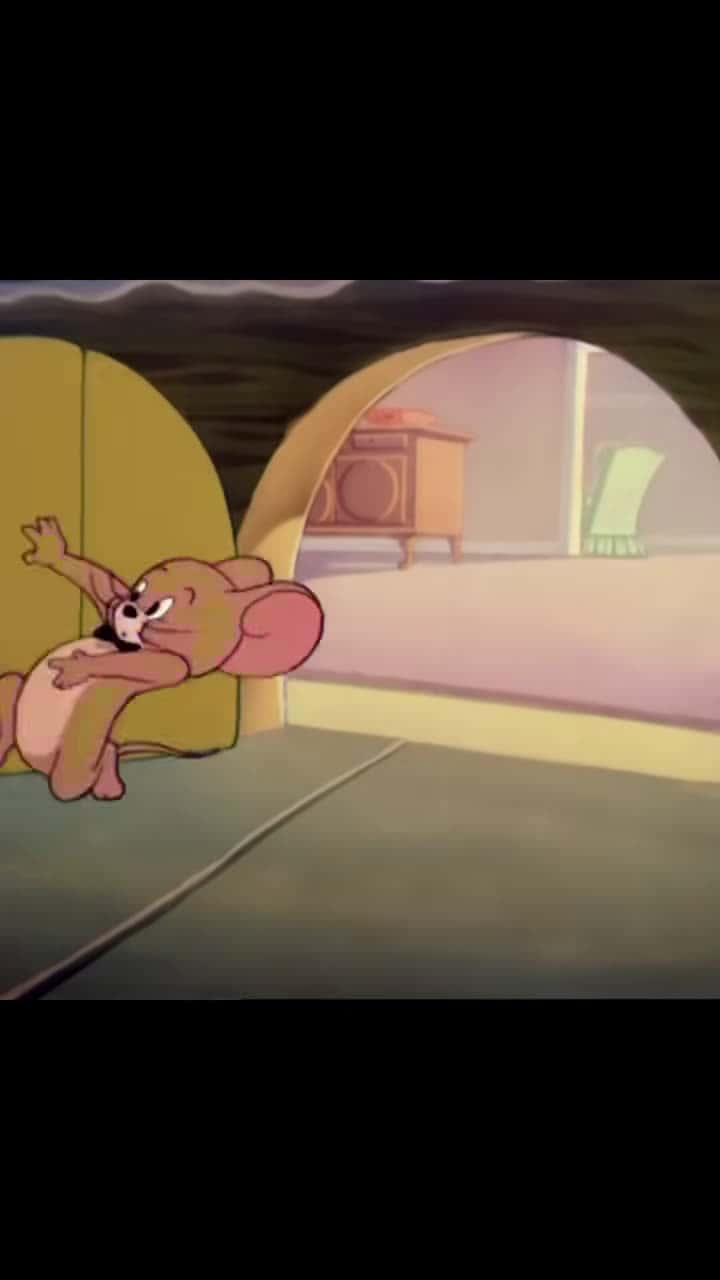 Cover for 68-#cartoon #tomandjerry #animation 