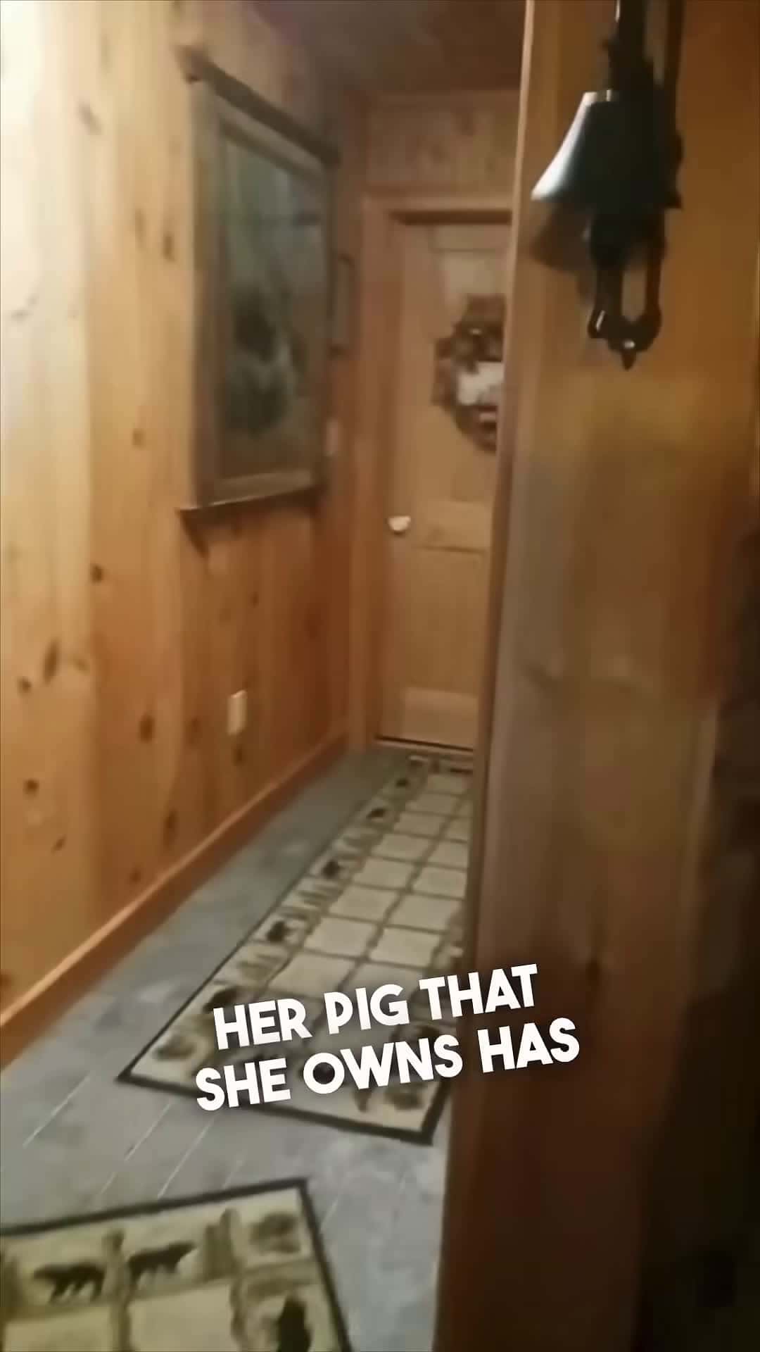 Cover for When you have to wake up your pig in the morning