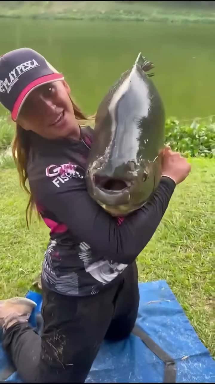 Cover for Thats the biggest piranha ive ever seen fish fishing fishtok hunting boat huntingseason huntingtiktok fishingboat fishingboats fail florida fishingrods miami texas seafood piranhas