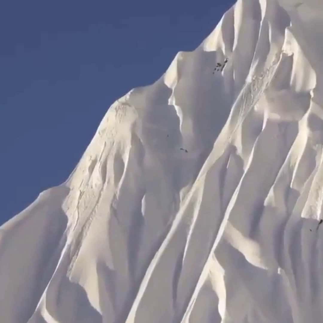 Cover for you have to watch this 😳