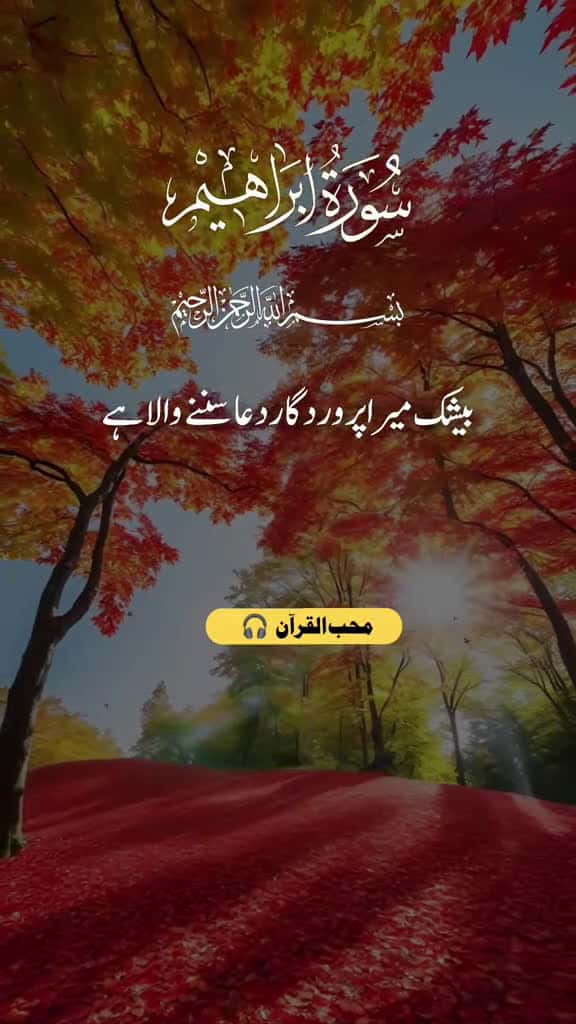 Cover for Surah Al- Ibrahim Verses 39-43 unfreeze unfrezzmyaccount fyp trending   quran     12502 #ilovescoopz