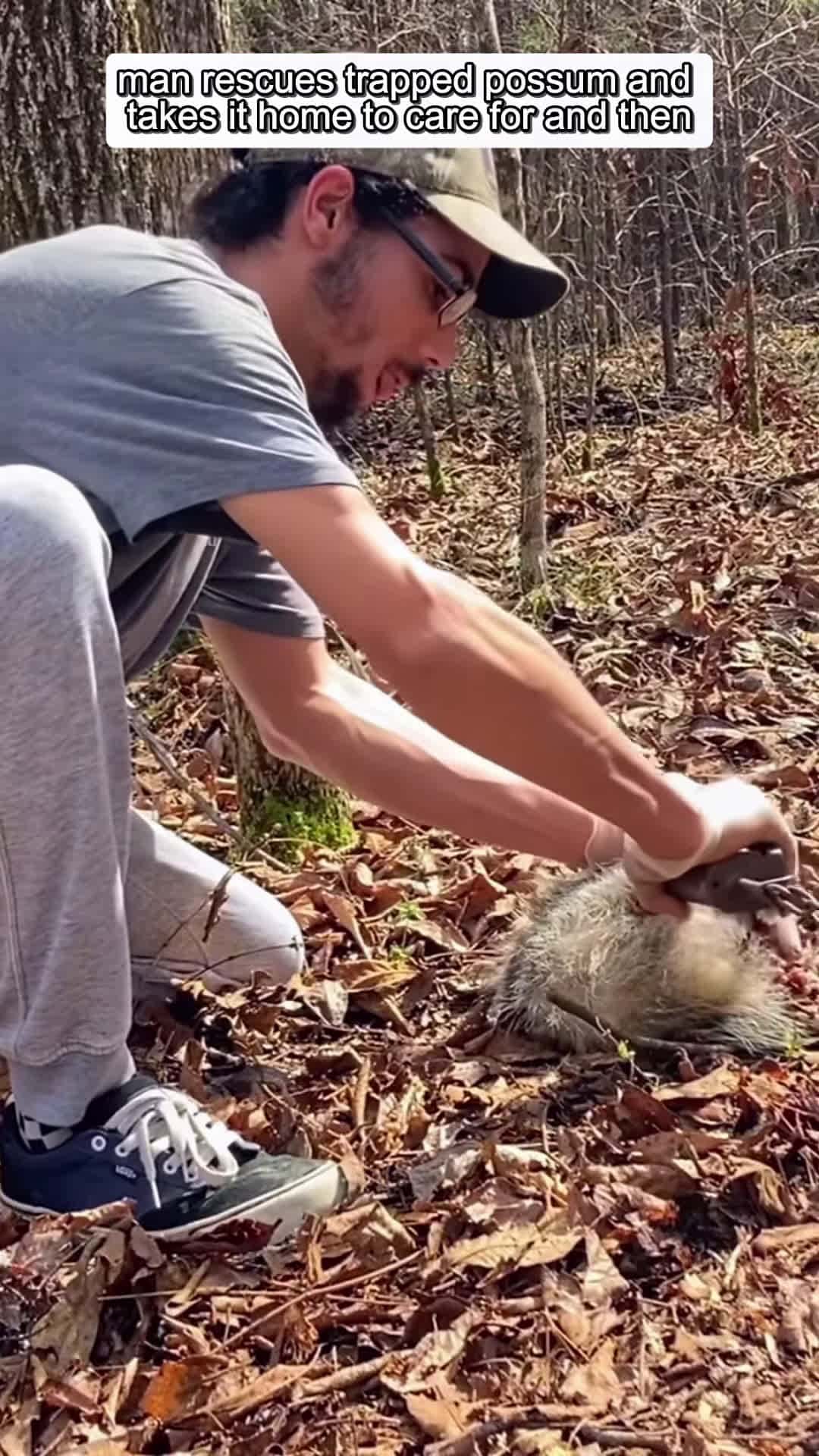 Cover for man rescues trapped possum and takes it home to care for and then animalshorts