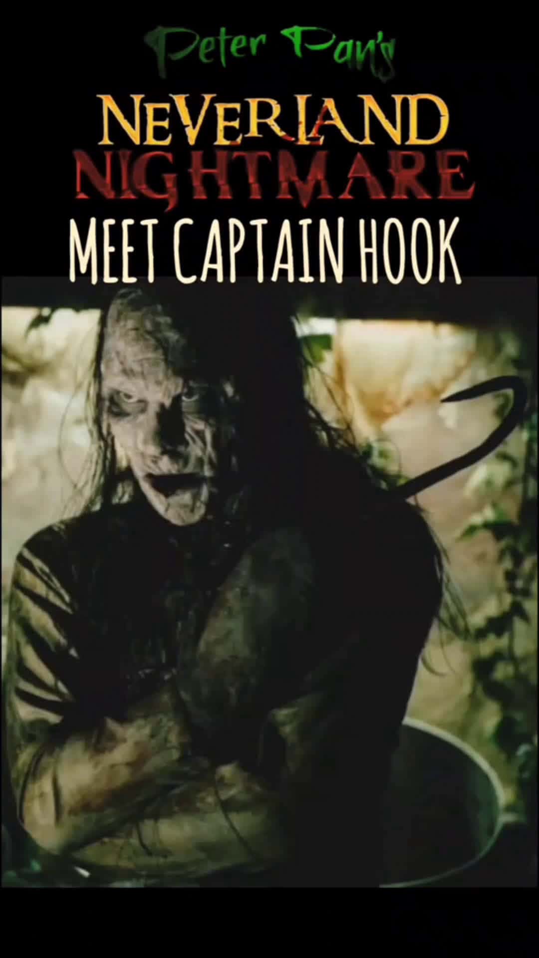 Cover for Peter Pan's Neverland Nightmare : Meet Captain Hook