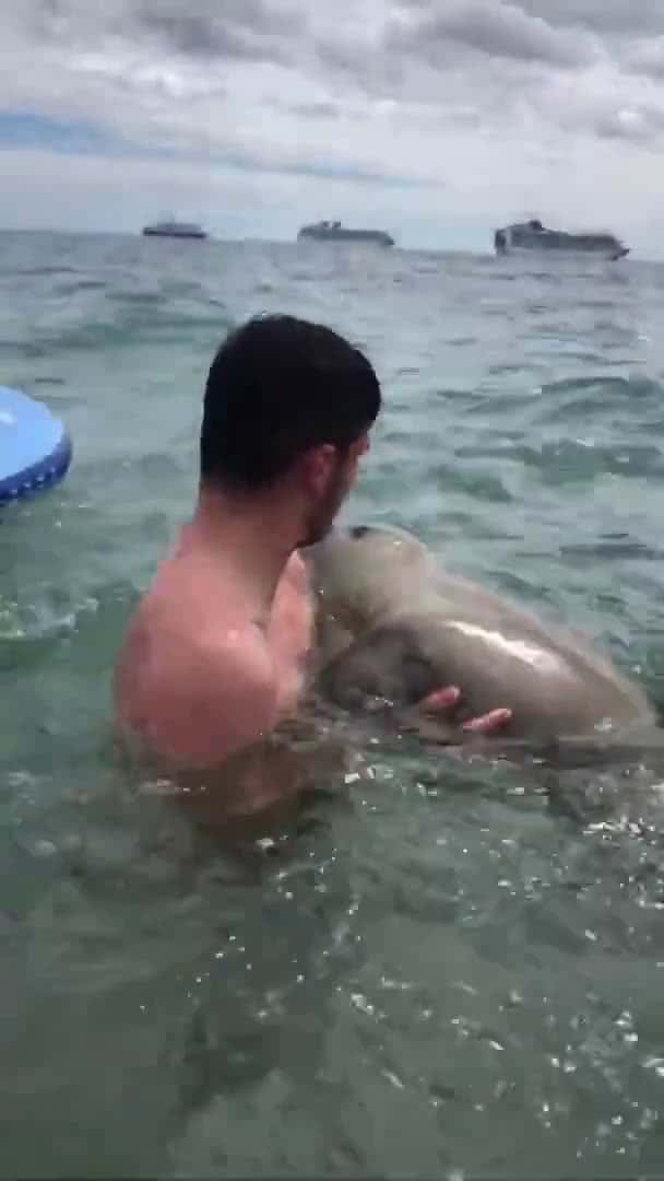 Cover for #CaughtOnCamera Man greeted by seal in the water