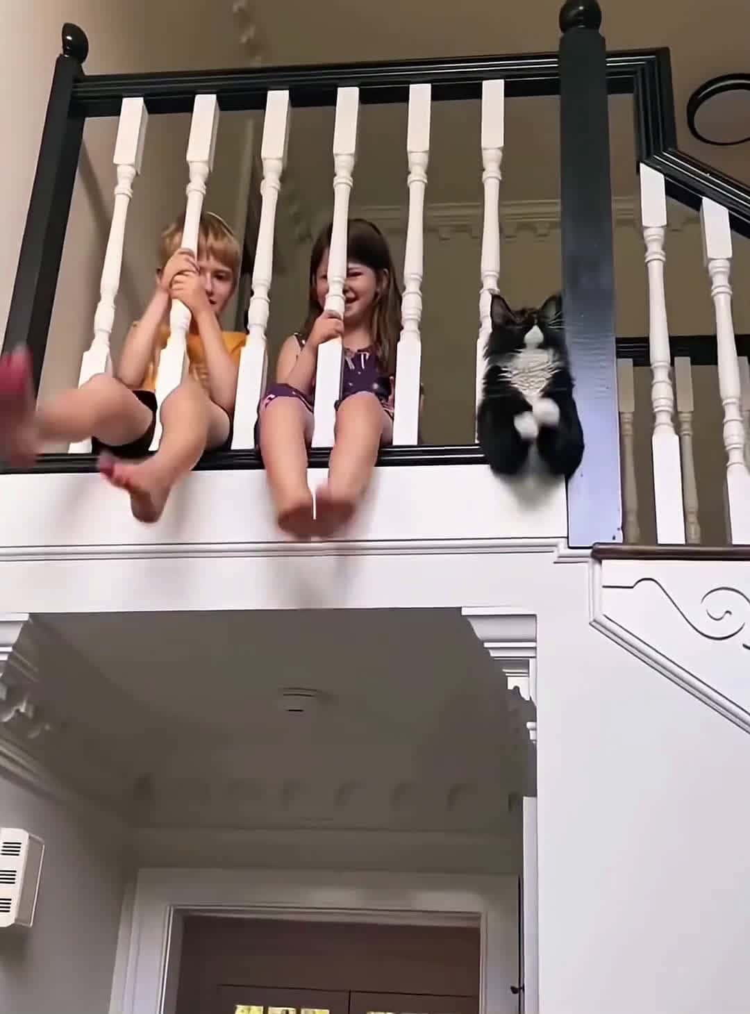 Cover for The longer the cat is kept, the more it looks like the owner  #bodycam 