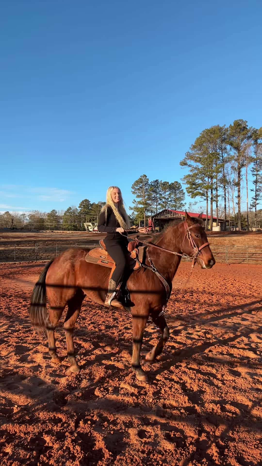 Cover for #fyp #foryou #forupage #equestrian #western #barrelracer #barrelhorse 