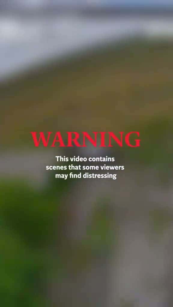 Cover for Watch as a Ukrainian drone completely destroys a North Korean-supplied rocket launcher while the crew remains inside. Footage released by the Defence of Ukraine shows the projectile striking a 240mm M1991 multiple rocket launch...