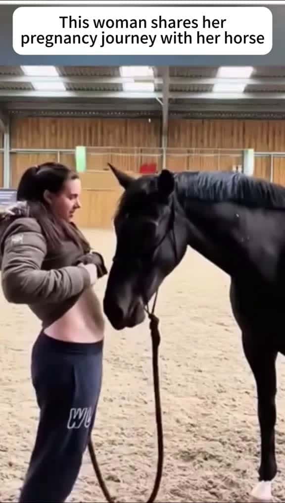 Cover for A horse hugs a pregnant woman everyday fyp usa tiktok usa funnyvideos fouryou funny funnyp 09279 #shortvideos