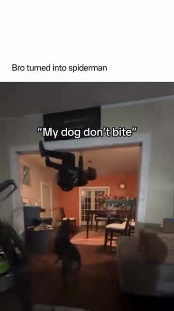 Cover for My dog doesn't bite it just wants to play😂😂