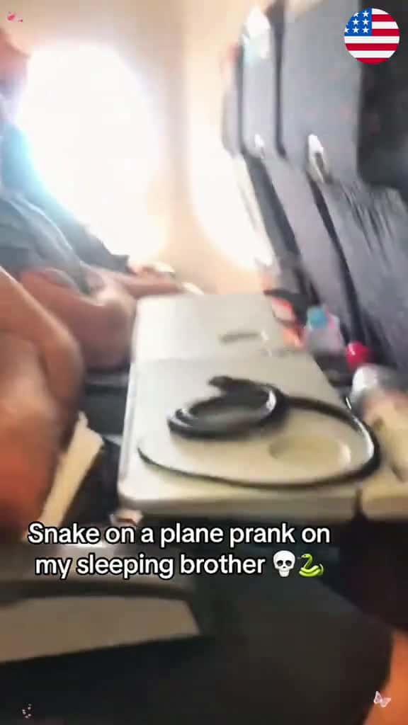 Cover for Fake Snake Prank #funny #funnyvideos #fyp #usa #tiktok