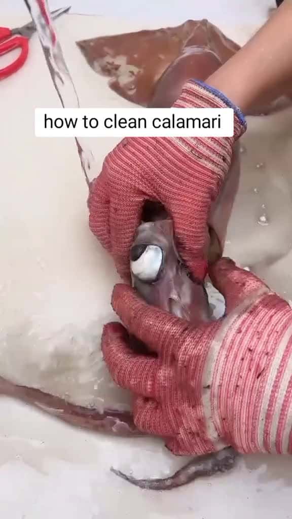 Cover for cleaning calamari easily Chinese fish market #rurallife #tiktokindia #tiktok #fypシ #fy #foryoupage #foryou #eating #cooking #hack #handcraft #homemade #asmr #video #diy #chinesefood #viralvideo #viral #handmade @LiXiaoAi @Van @Suelem Kymberlly