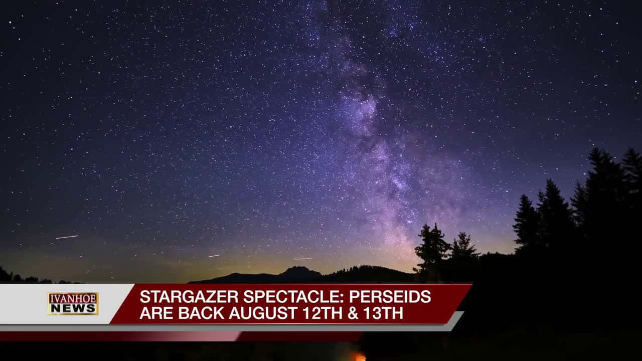 Cover for Stargazer Spectacle: Perseids Are Back August 12th & 13th