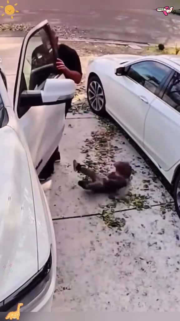 Cover for Funny kid fails 😂😂 fyp  funnyvideos funniestvideoonmyphone fails kids
