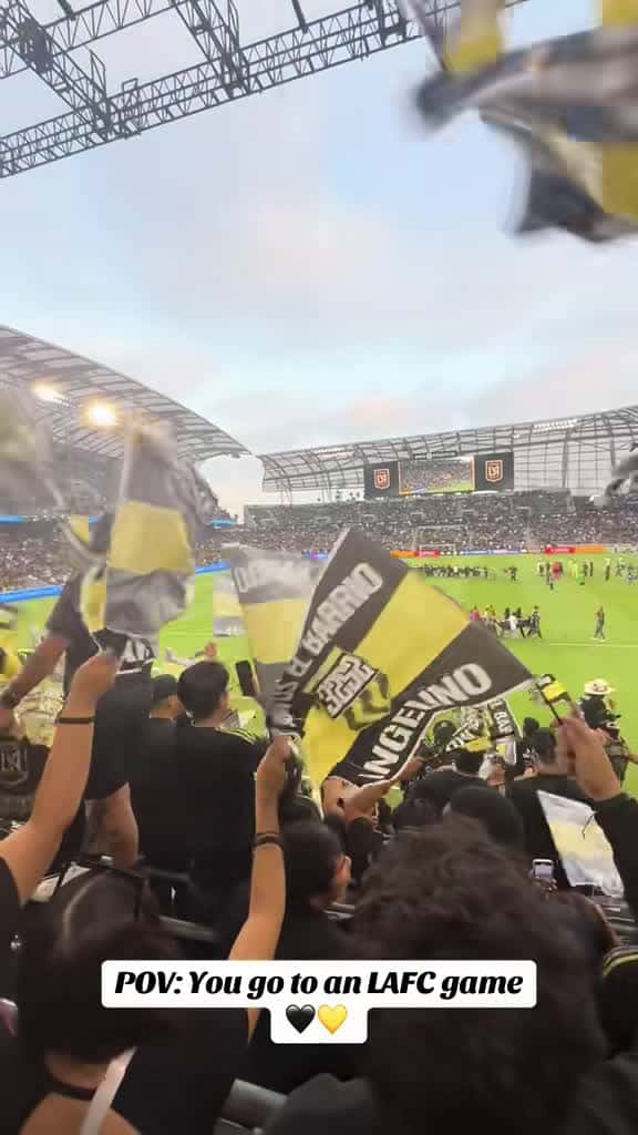 Cover for The energy in the supporter section is off the charts! ⚽️🔥 #LAFC #SupporterPassion #BlackAndGold