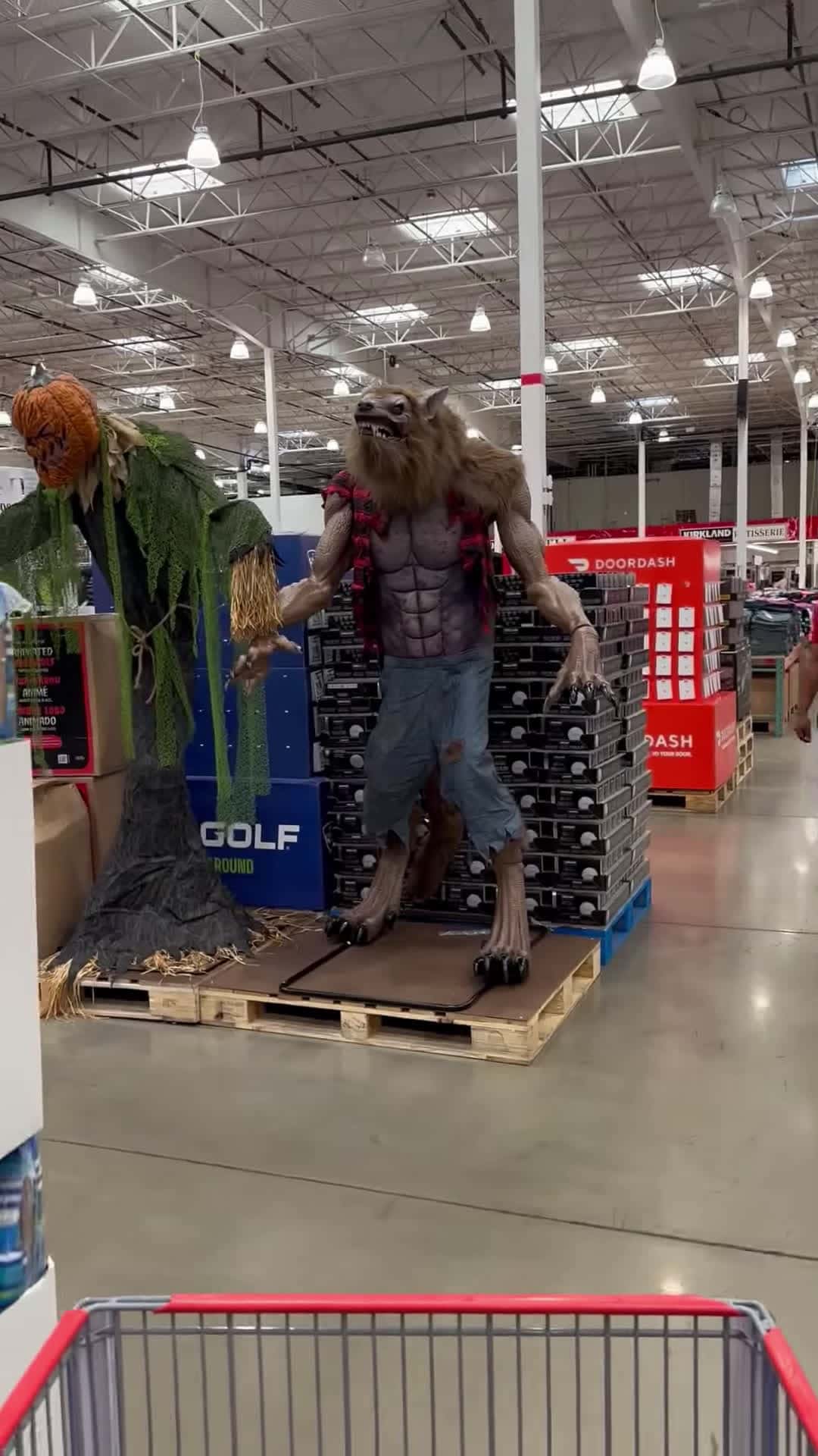 Cover for #CaughtOnCamera HardToFind Halloween Werewolf Displayed at Costco.