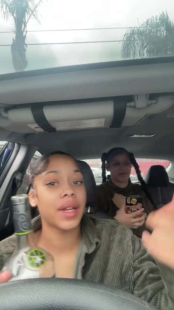 Cover for Js if people ion keep my hair done I get headaches so I take my hair down alot  P.s. TikTok that is not alcohol  created by iambabyjames with BunnaB & Mr.Icecream & Kroy & K2’s Awf Da Perky