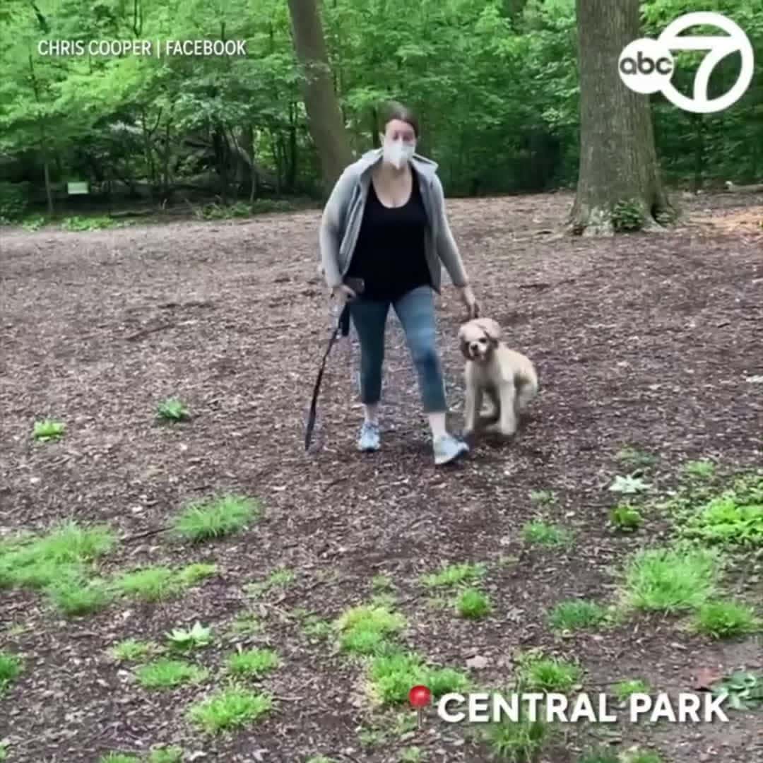 Cover for VIDEO SPARKS OUTRAGE: A confrontation caught on camera in Central Park is going viral. Chris Cooper, the man who recorded the encounter, said the woman called police on him after he asked her to put her dog on a leash.