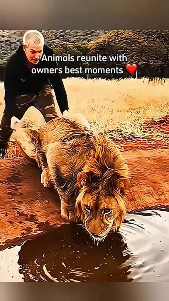Cover for #pawzofturi #pawzofturilaughs #pawzofturipets #pawzofturicomedy #lolwithpawzofturi #pawzofturimoments #funnypawzofturi #gafunnypets #petfails #petcomedy #funnyfurballs #dogsofscoopz #catsofscoopz #gaturi 