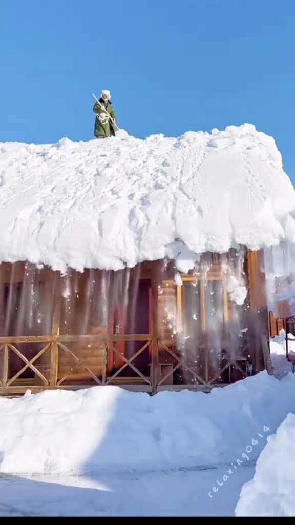 Cover for Snow removal satisfying ice 13527 #ilovescoopz