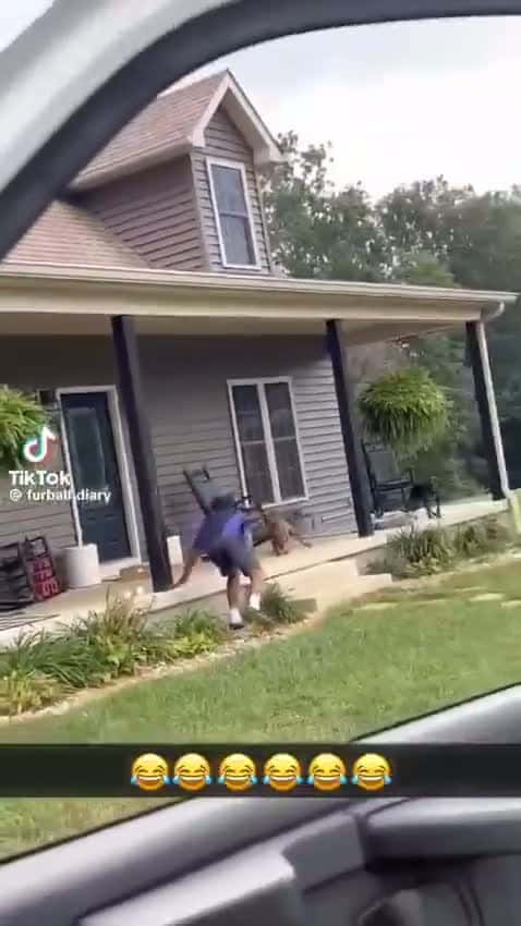 Cover for Dog vs delivery man