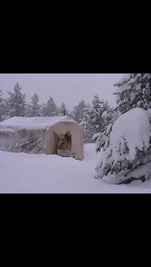 Cover for 3 NIGHTS & 4 DAYS SNOW CAMPING AT-28°C | OUR TENT FROZE!#snow #forest #survivalskills #camping #survival #bushcraft