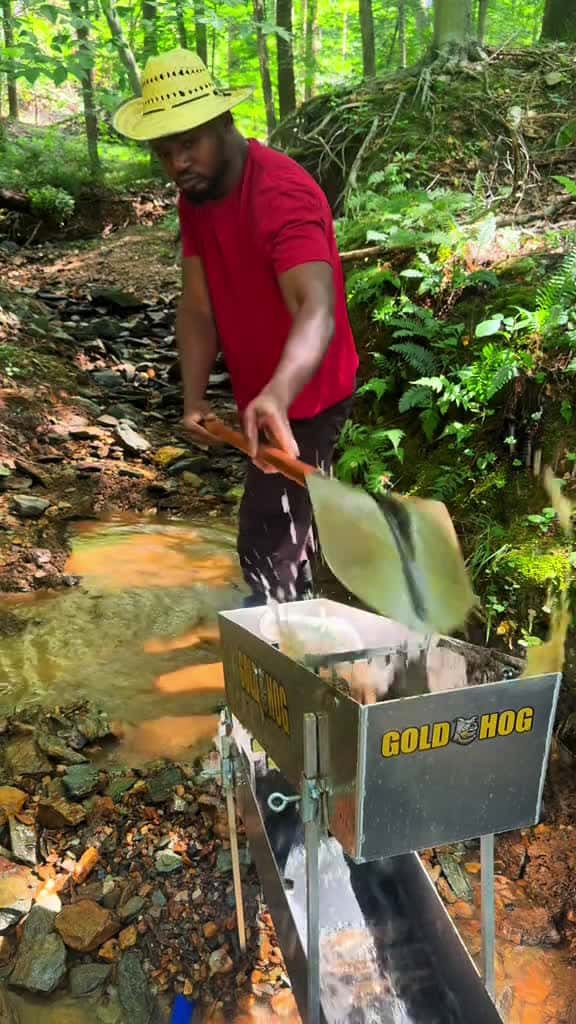 Cover for The GoldHog raptor catching all sizes of gold #gold #goldmining #goldprospecting #goldrush #goldpanning #fyp #viral #fypシ  created by Mini prospector with Mini prospector’s original sound
