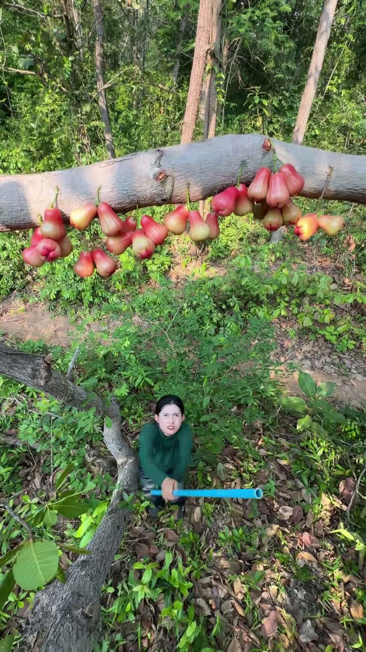 Cover for Single mom make pomegranate juice #survival #camping #bushcraft #viralvideo