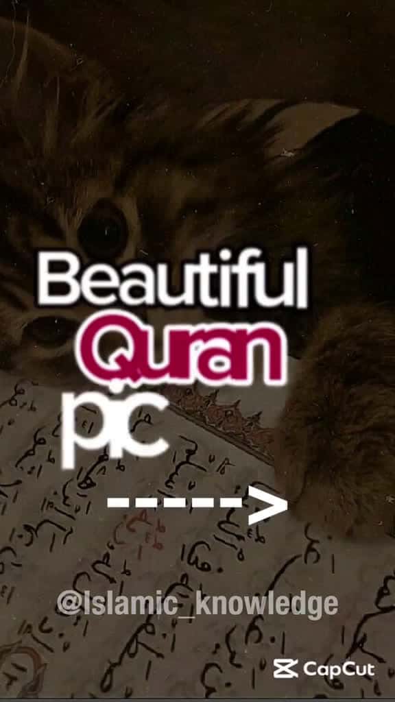Cover for creatorsearchinsights Beautiful Qur an Photos Most beautiful Quran pak dp Beautiful Holy Q 69750 #us