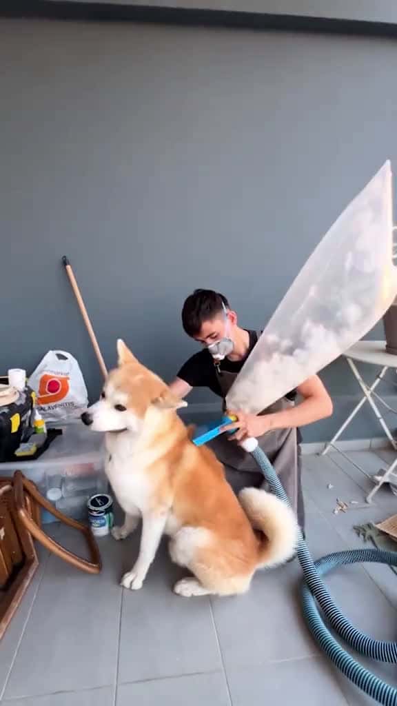 Cover for Great fashionable craft for when it’s dog shedding season! 😉🐶 #petowners #diy #fashion #puppy #ecofriendly #repurpose #sheddingseason  created by 5-Minute Crafts with $PHIN35’s Upbeat, fun and bright rock'n'roll(1368783)