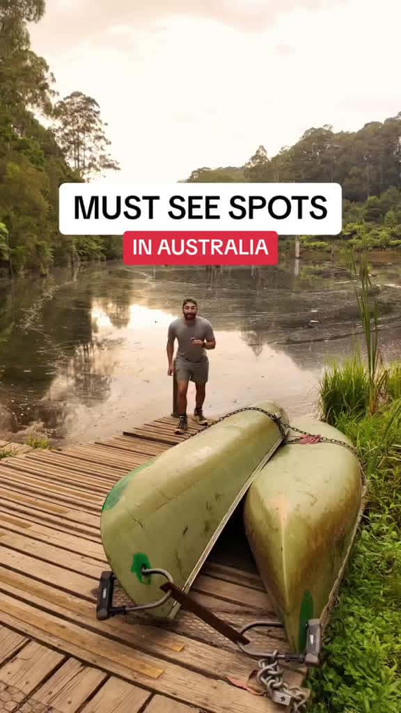Cover for Spot a platypus in the wild  visitmelbourne melbourneaustralia travelaustralia gr 48072 #trendingscoopz