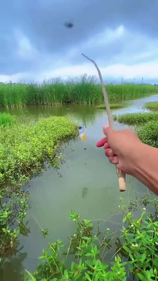 Cover for I don't know how much lead is eaten in this float. Outdoor fishing. Fisherman. Fisherman is so crazy #explore #foryou #foryoupage #trending #trendingnow 